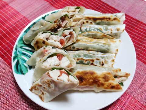 簡単!節約!梅肉入り〜鶏肉と大葉の棒餃子